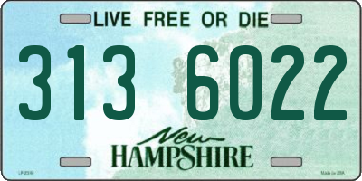 NH license plate 3136022