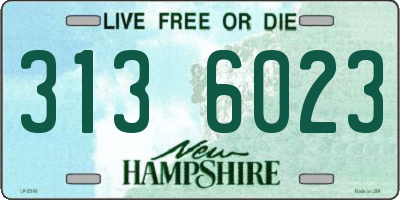 NH license plate 3136023