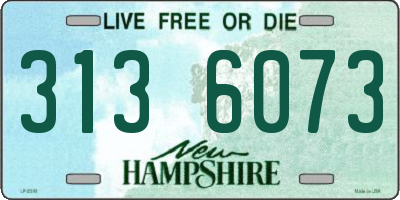 NH license plate 3136073