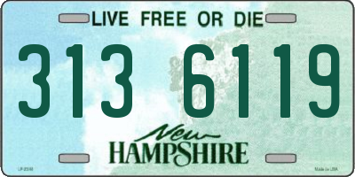 NH license plate 3136119