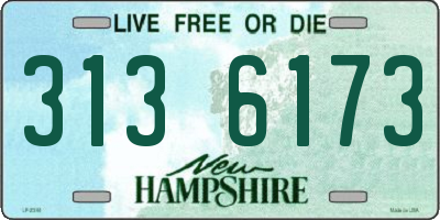 NH license plate 3136173