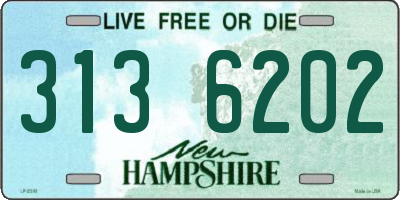 NH license plate 3136202