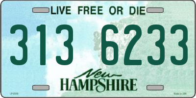 NH license plate 3136233