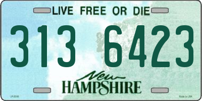 NH license plate 3136423