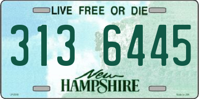 NH license plate 3136445