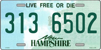 NH license plate 3136502