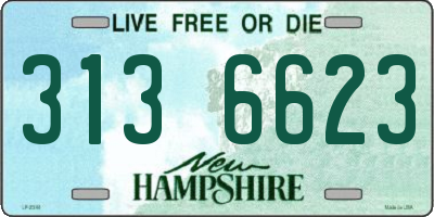 NH license plate 3136623