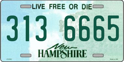 NH license plate 3136665