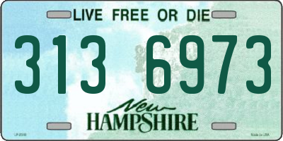 NH license plate 3136973