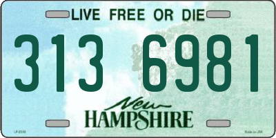 NH license plate 3136981