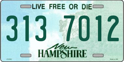 NH license plate 3137012