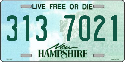 NH license plate 3137021