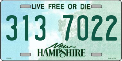 NH license plate 3137022