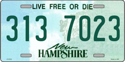 NH license plate 3137023