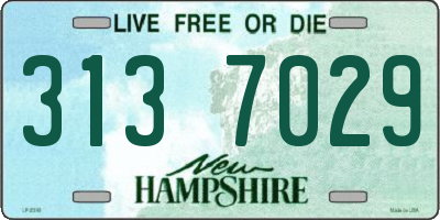 NH license plate 3137029