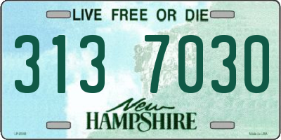 NH license plate 3137030