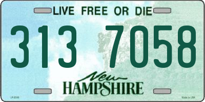 NH license plate 3137058