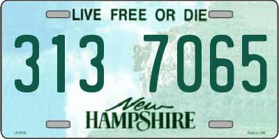 NH license plate 3137065