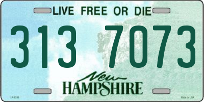 NH license plate 3137073