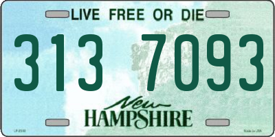 NH license plate 3137093