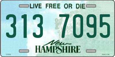 NH license plate 3137095