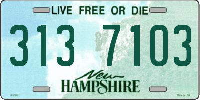 NH license plate 3137103