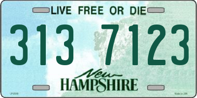NH license plate 3137123