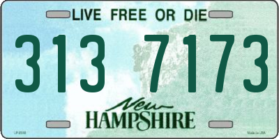 NH license plate 3137173