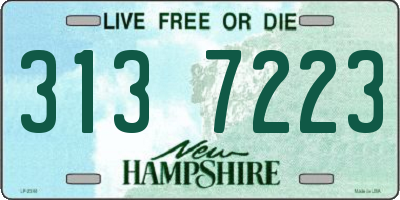 NH license plate 3137223