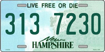 NH license plate 3137230