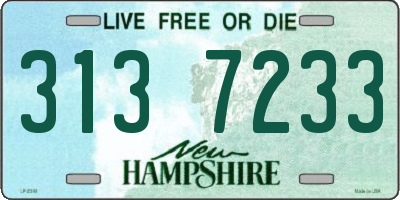 NH license plate 3137233