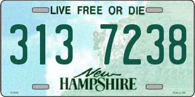 NH license plate 3137238