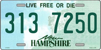 NH license plate 3137250