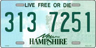 NH license plate 3137251