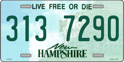 NH license plate 3137290