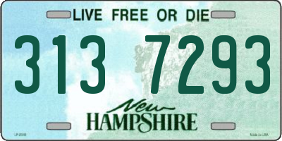 NH license plate 3137293