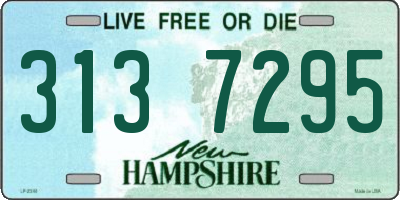 NH license plate 3137295