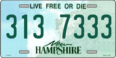 NH license plate 3137333