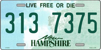 NH license plate 3137375
