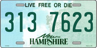 NH license plate 3137623