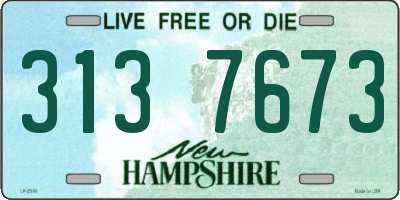NH license plate 3137673
