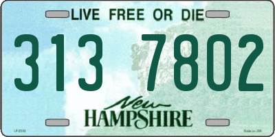 NH license plate 3137802
