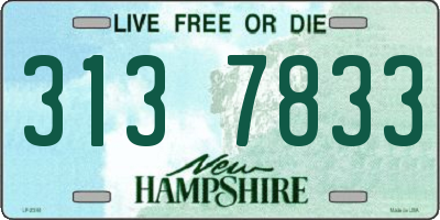 NH license plate 3137833