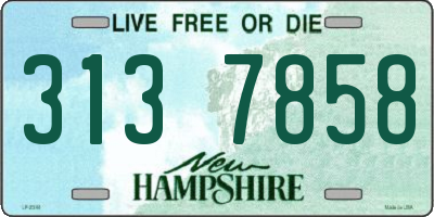 NH license plate 3137858