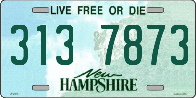 NH license plate 3137873