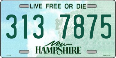 NH license plate 3137875