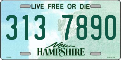 NH license plate 3137890