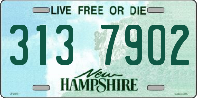 NH license plate 3137902