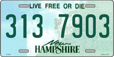 NH license plate 3137903