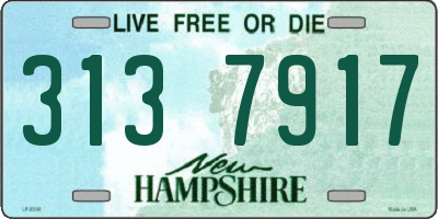 NH license plate 3137917